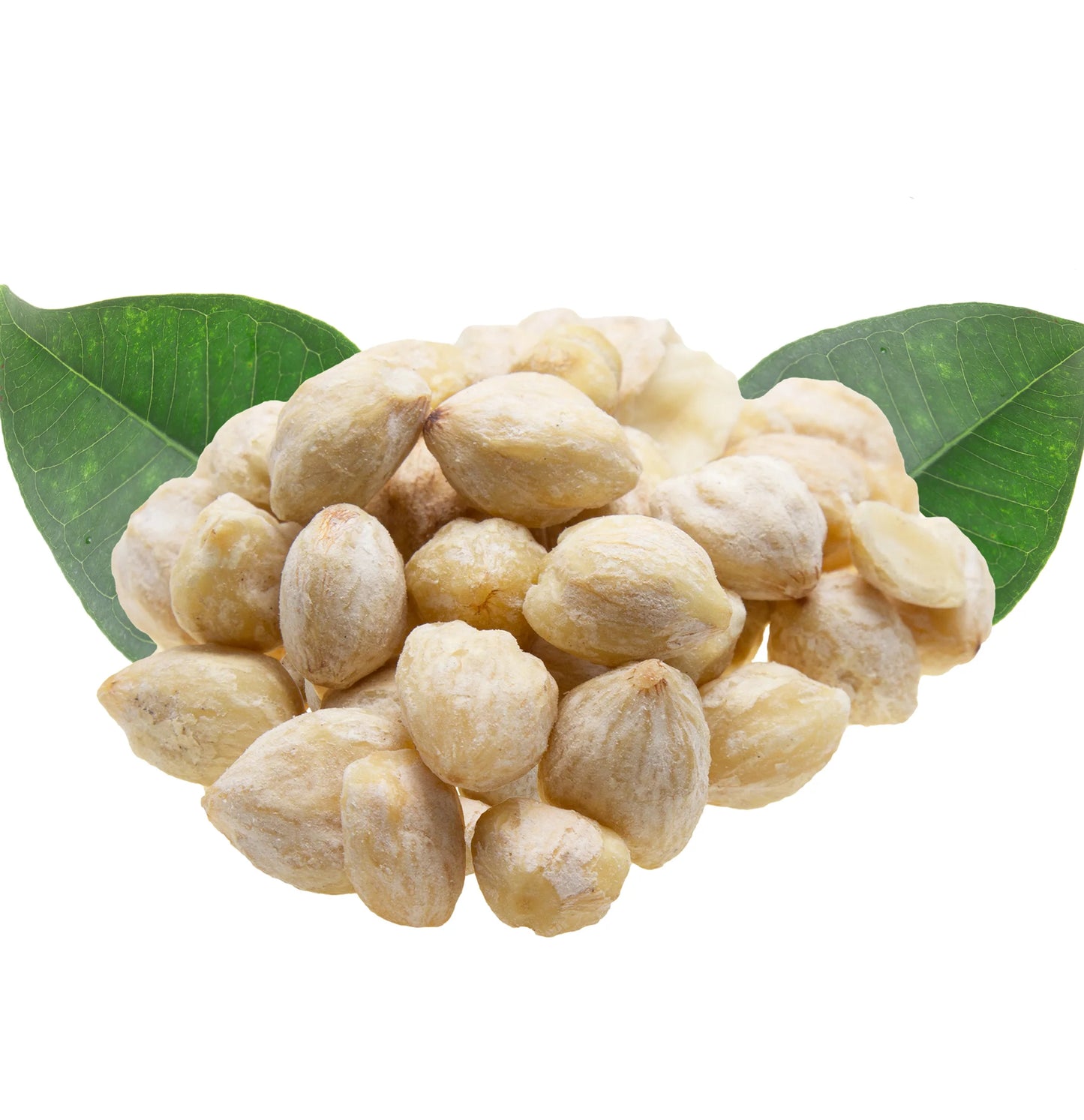 Kukui Nut Conditioner Healing Moisture